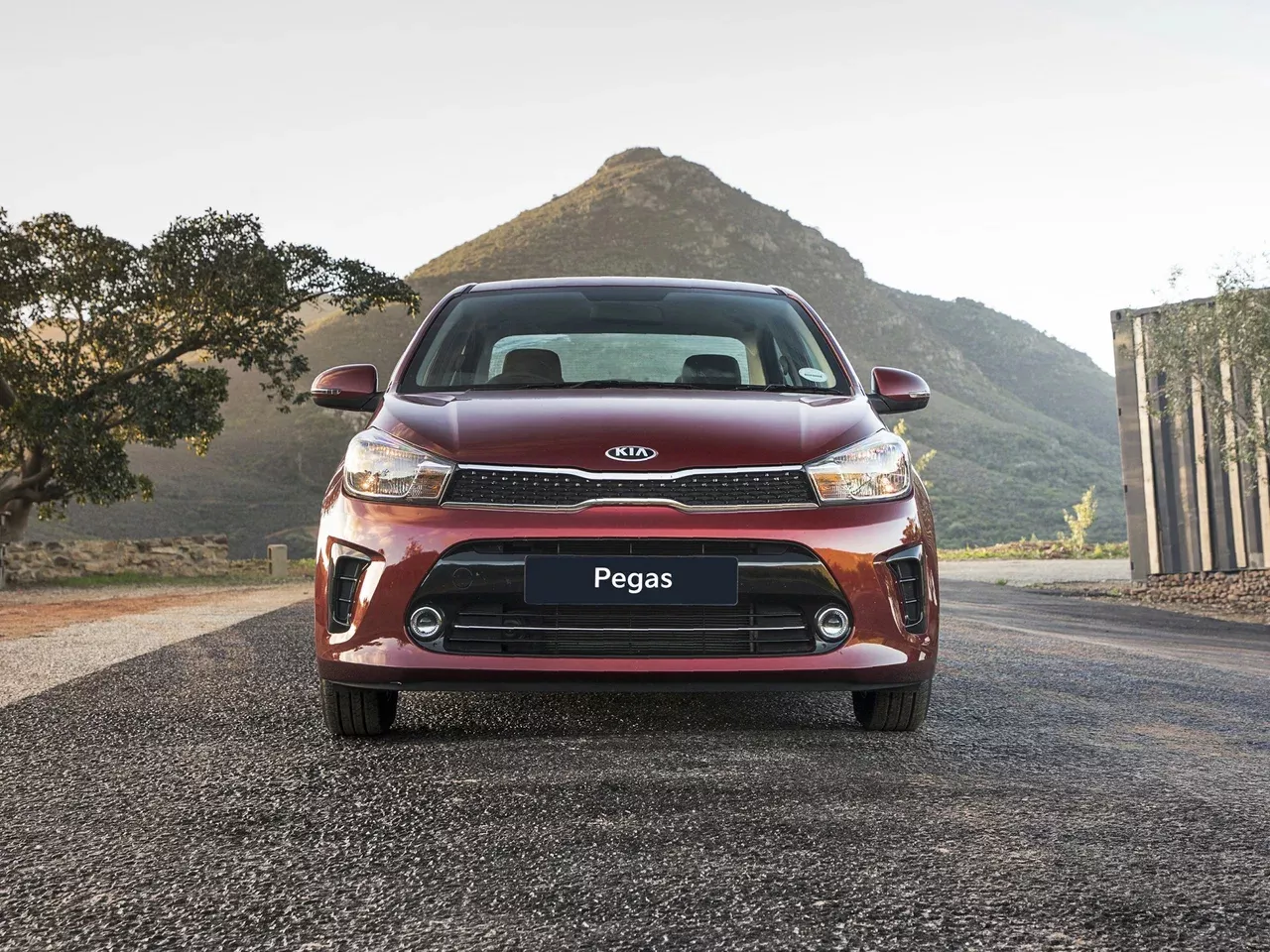 Kia Pegas